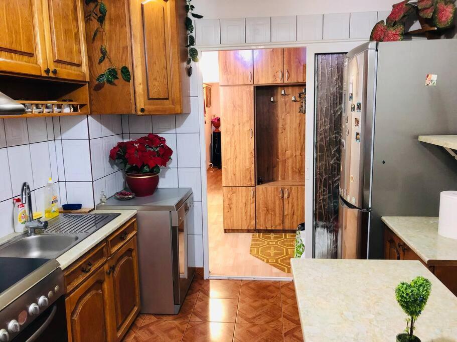 Joy City Stay Ferkel 7 Тимишоара Экстерьер фото
