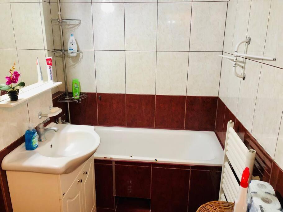 Joy City Stay Ferkel 7 Тимишоара Экстерьер фото