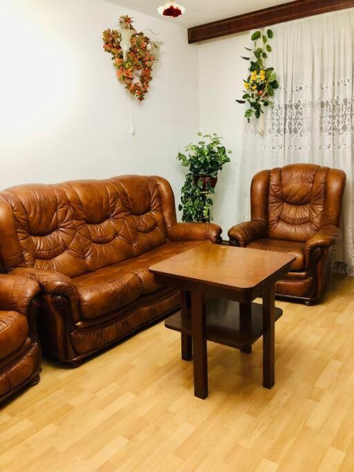 Joy City Stay Ferkel 7 Тимишоара Экстерьер фото