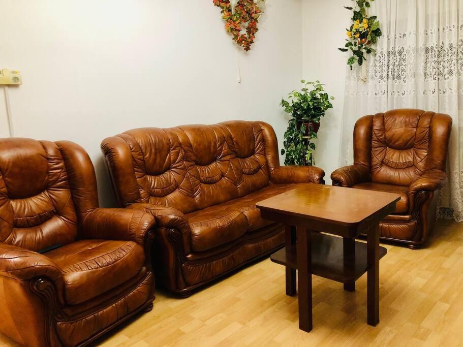 Joy City Stay Ferkel 7 Тимишоара Экстерьер фото