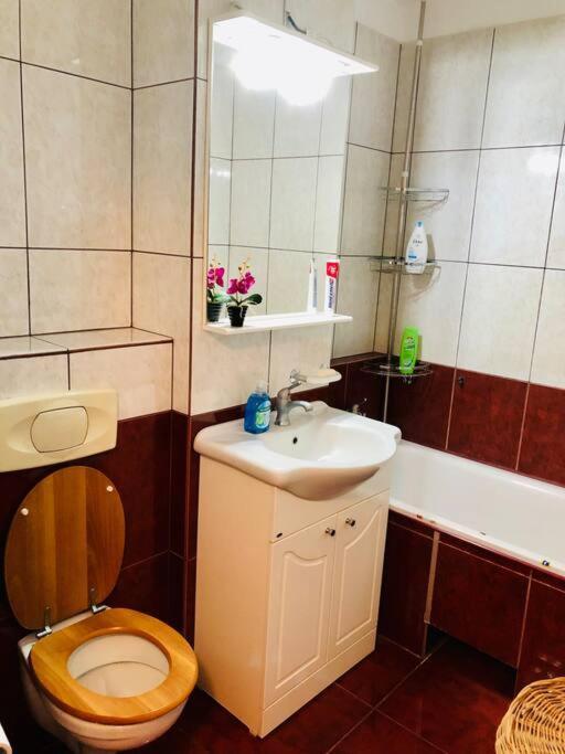 Joy City Stay Ferkel 7 Тимишоара Экстерьер фото