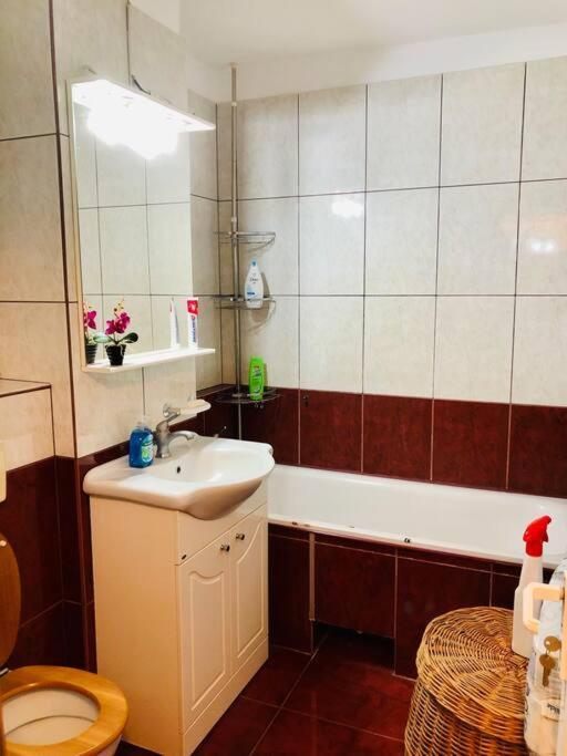 Joy City Stay Ferkel 7 Тимишоара Экстерьер фото