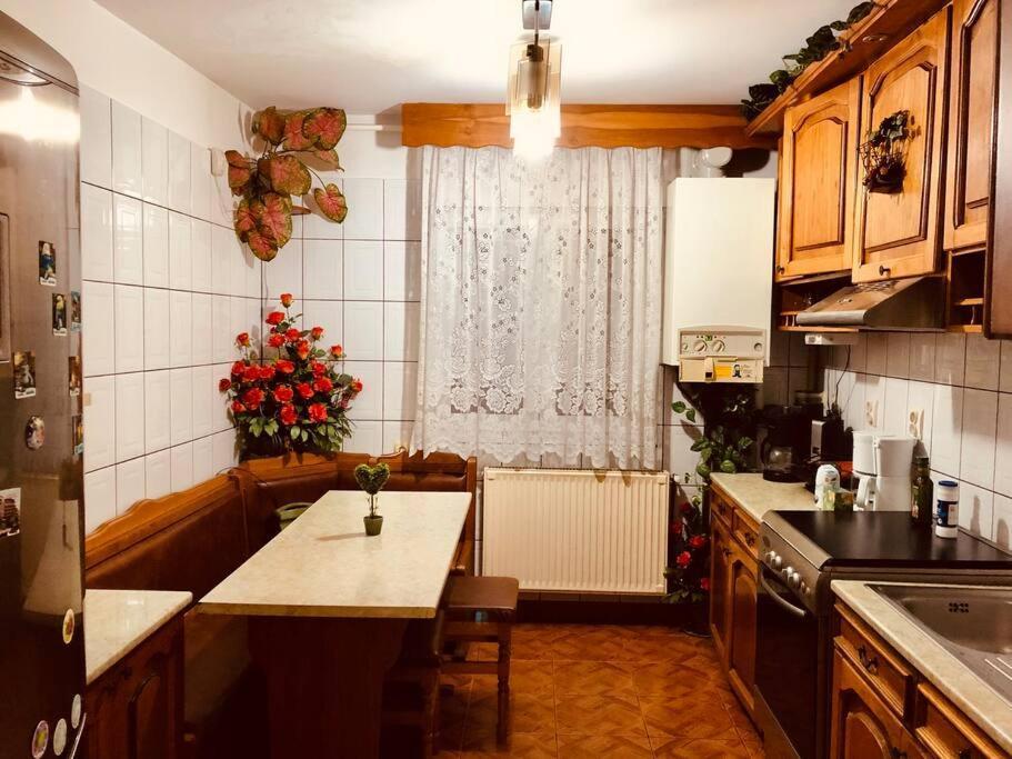 Joy City Stay Ferkel 7 Тимишоара Экстерьер фото